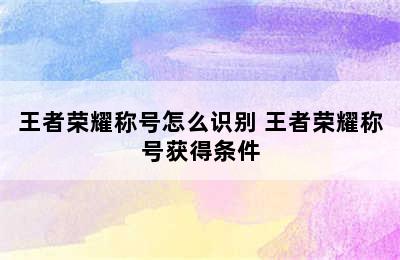 王者荣耀称号怎么识别 王者荣耀称号获得条件